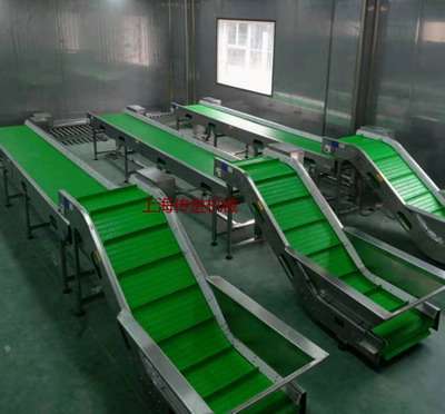 網(wǎng)帶輸送機，山核桃爬坡網(wǎng)帶提升機